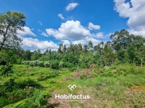 Terreno para venda em Sernada-Viseu