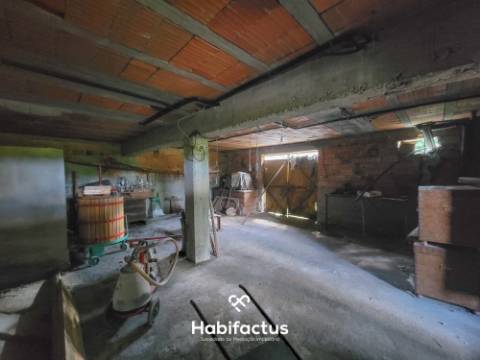 Moradia Isolada T3 com Jardim, Logradouro e Terreno c/ Anexos, á Venda em Béijós - Carregal do Sal -