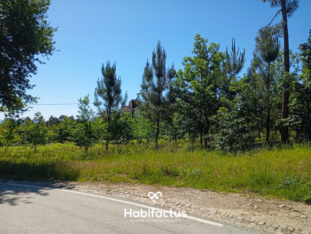 Terreno em Zona de Construção com Vista para a Serra