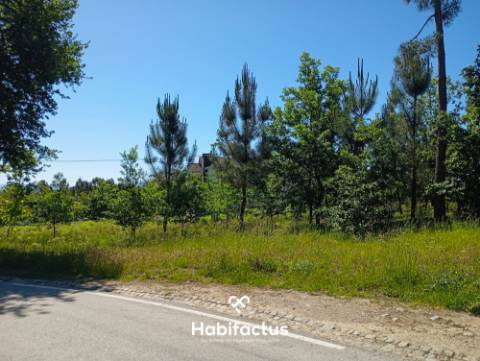 Terreno em Zona de Construção com Vista para a Serra