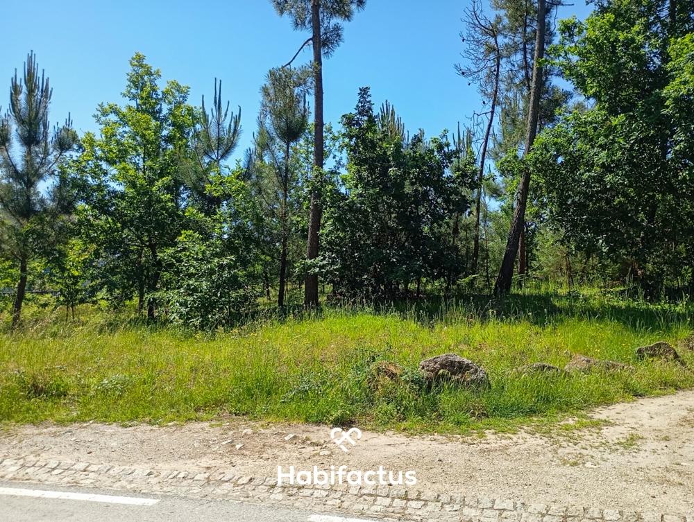 Terreno em Zona de Construção com Vista para a Serra