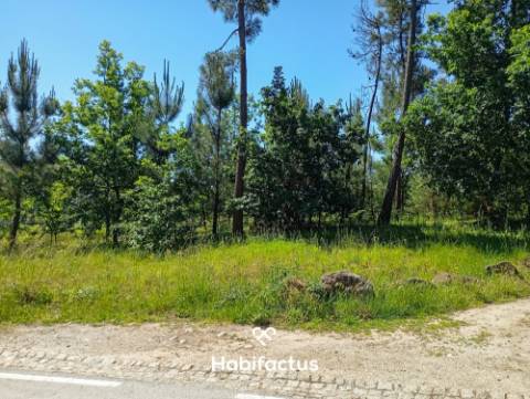 Terreno em Zona de Construção com Vista para a Serra