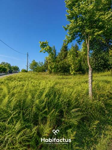 Terreno em Zona de Construção com Vista para a Serra