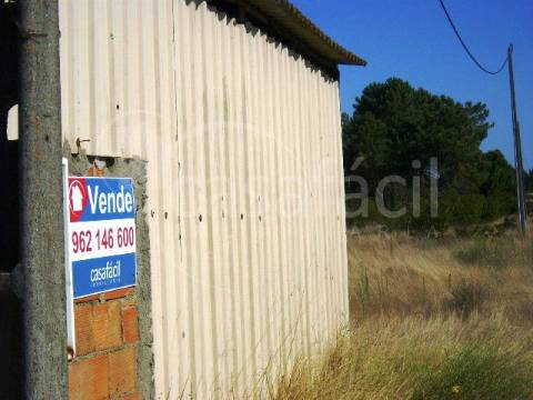 Terreno Rústico  Venda em Pegões,Montijo