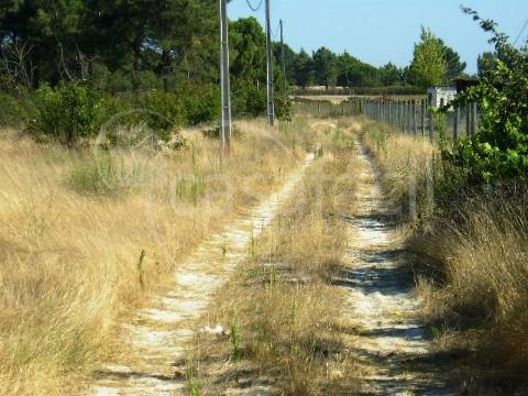 Terreno Rústico  Venda em Pegões,Montijo