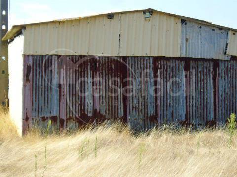 Terreno Rústico  Venda em Pegões,Montijo