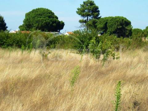 Terreno Rústico  Venda em Pegões,Montijo