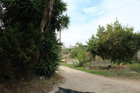 Quinta  Venda em Alcochete,Alcochete