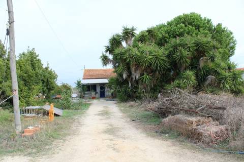 Quinta  Venda em Alcochete,Alcochete