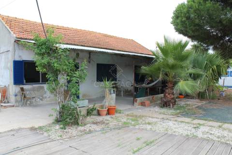 Quinta  Venda em Alcochete,Alcochete