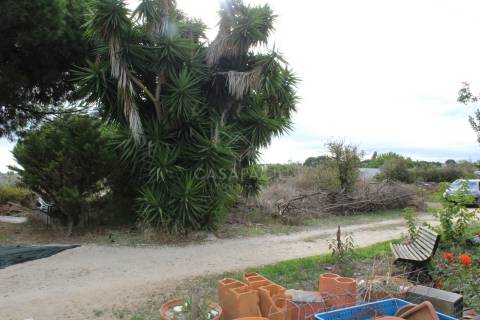 Quinta  Venda em Alcochete,Alcochete