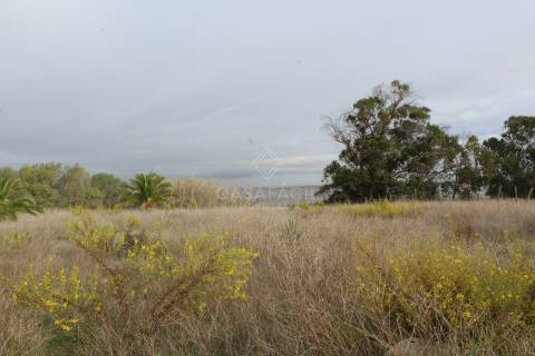 Quinta  Venda em Alcochete,Alcochete