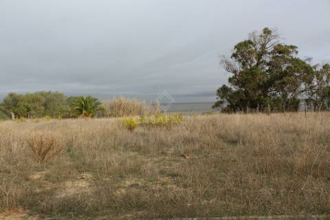 Quinta  Venda em Alcochete,Alcochete