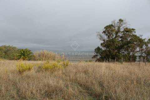 Quinta  Venda em Alcochete,Alcochete