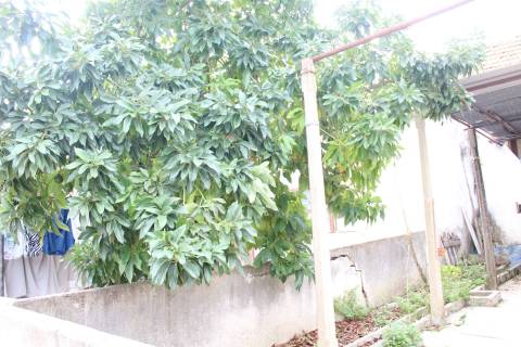 3 Moradias todas T2 no Montijo - Investimento!