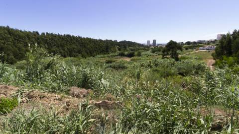 Terreno , Buarcos, Figueira da Foz
