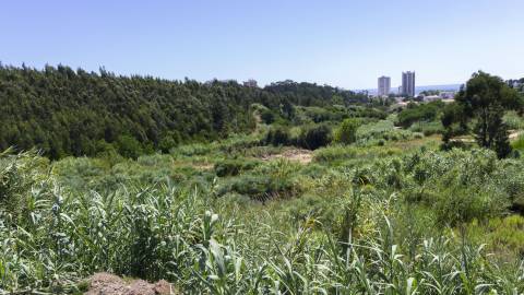 Terreno , Buarcos, Figueira da Foz