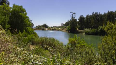 Terreno , Buarcos, Figueira da Foz