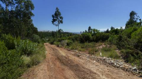 Terreno , Buarcos, Figueira da Foz