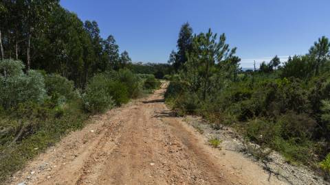 Terreno , Buarcos, Figueira da Foz