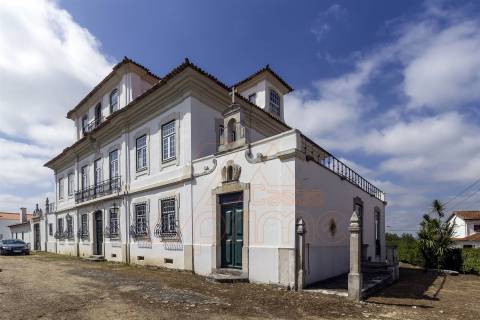 Herdade T8, Aveiro, Anadia - Mealhada/ Venda