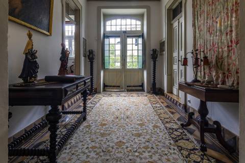 Herdade T8, Aveiro, Anadia - Mealhada/ Venda