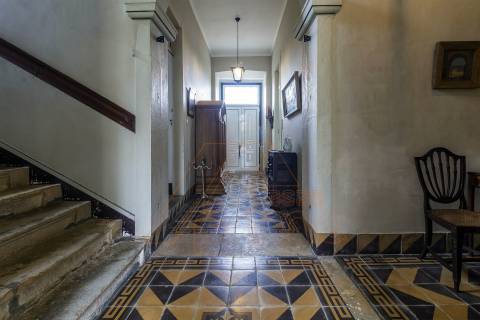 Herdade T8, Aveiro, Anadia - Mealhada/ Venda