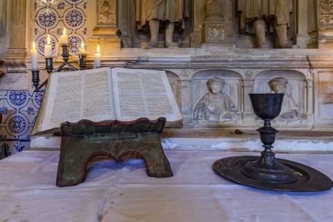 Herdade T8, Aveiro, Anadia - Mealhada/ Venda