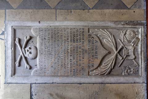 Herdade T8, Aveiro, Anadia - Mealhada/ Venda