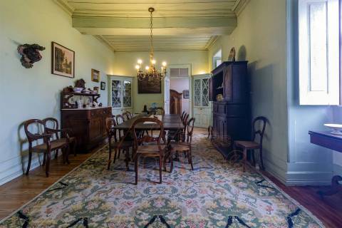 Herdade T8, Aveiro, Anadia - Mealhada/ Venda