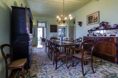 Herdade T8, Aveiro, Anadia - Mealhada/ Venda