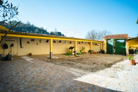 Quinta/Herdade - Eiras/Coimbra/ Venda
