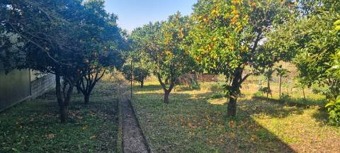 Moradia T4+2 - Casais do Campo - Coimbra/Venda