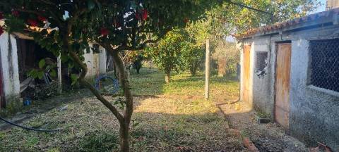 Moradia T4+2 - Casais do Campo - Coimbra/Venda