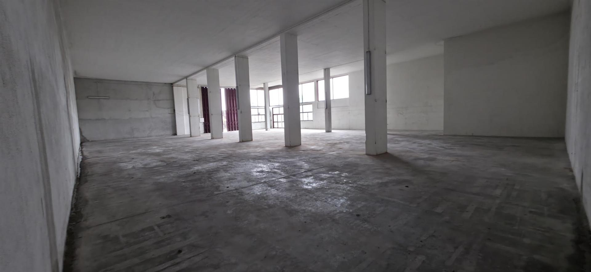 Armazém - Estrada de Eiras - Coimbra/Arrendamento