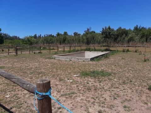 Terreno Rústico - Bencanta - Coimbra/Venda