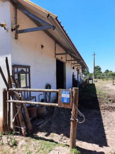 Terreno Rústico - Bencanta - Coimbra/Venda
