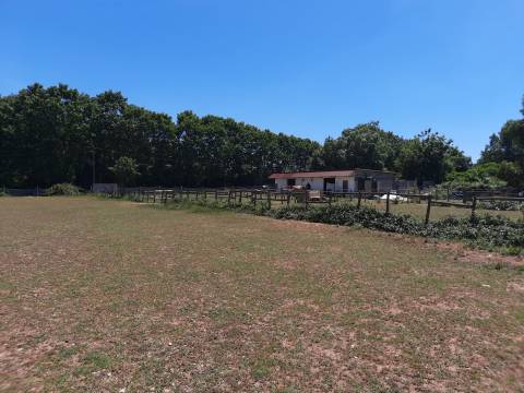 Terreno Rústico - Bencanta - Coimbra/Venda