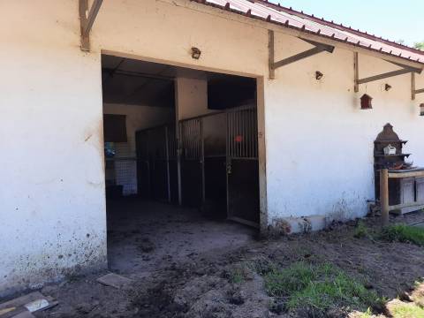 Terreno Rústico - Bencanta - Coimbra/Venda