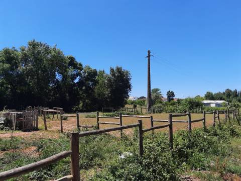 Terreno Rústico - Bencanta - Coimbra/Venda