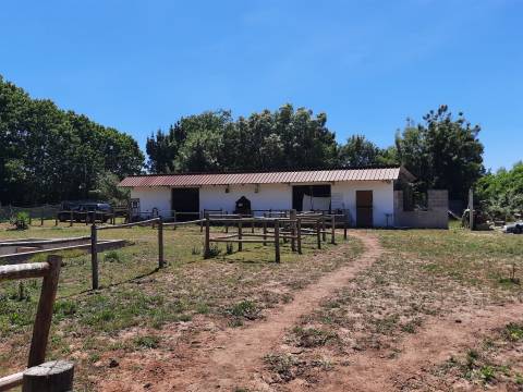 Terreno Rústico - Bencanta - Coimbra/Venda
