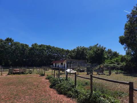 Terreno Rústico - Bencanta - Coimbra/Venda