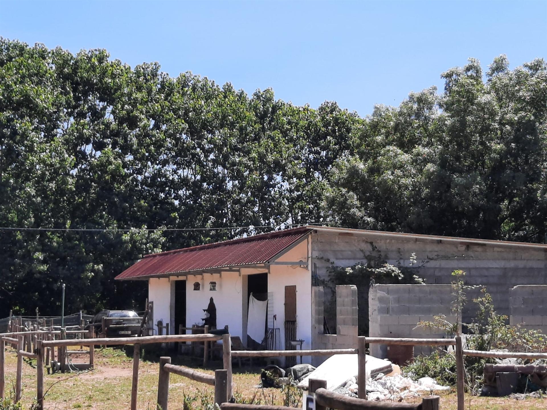 Terreno Rústico - Bencanta - Coimbra/Venda