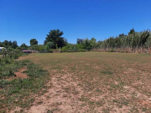 Terreno Rústico - Bencanta - Coimbra/Venda