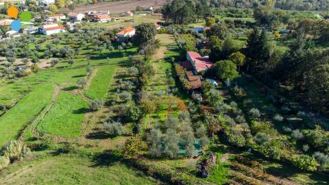 Quinta - Boidobra, Covilhã