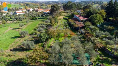 Quinta - Boidobra, Covilhã