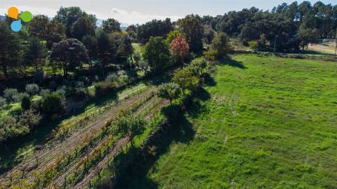 Quinta - Boidobra, Covilhã