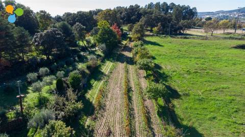 Quinta - Boidobra, Covilhã