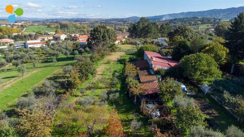 Quinta - Boidobra, Covilhã
