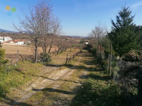 Quinta - Boidobra, Covilhã